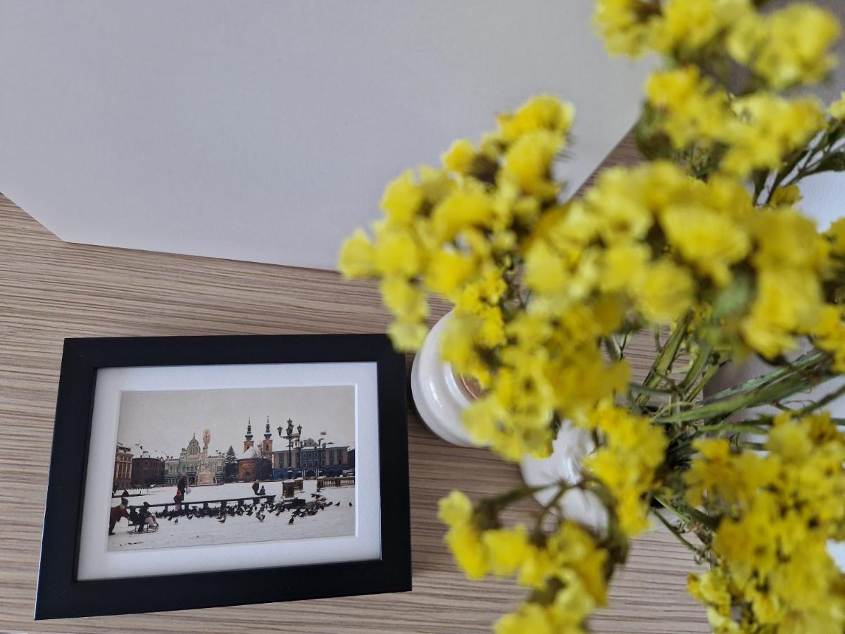 Central Skystudio Apartman Temesvár Kültér fotó